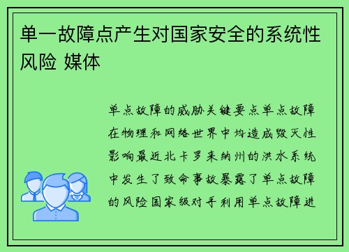 单一故障点产生对国家安全的系统性风险 媒体